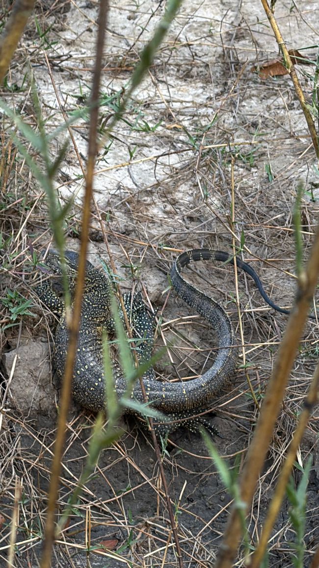 Atardecer en el Zambesí