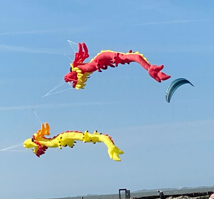 an den schönen Drachen