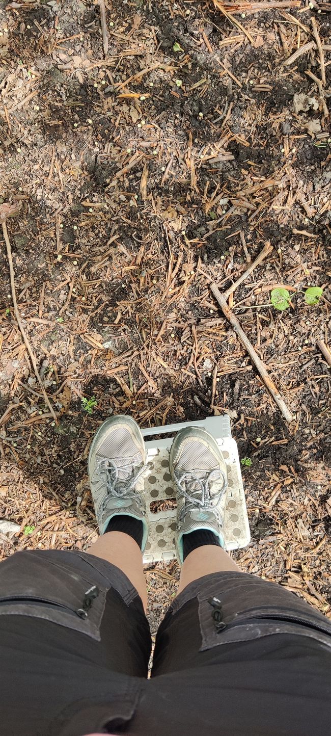 Arbeitszimmer für Franzi