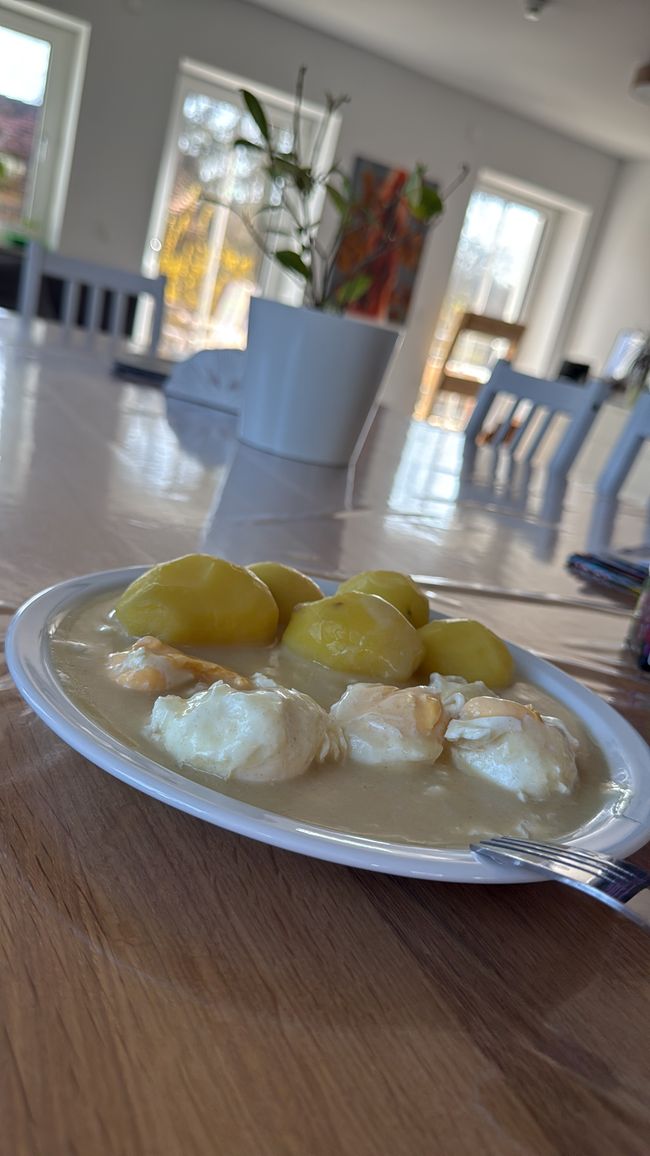 Wieder am kochen/ cooking again