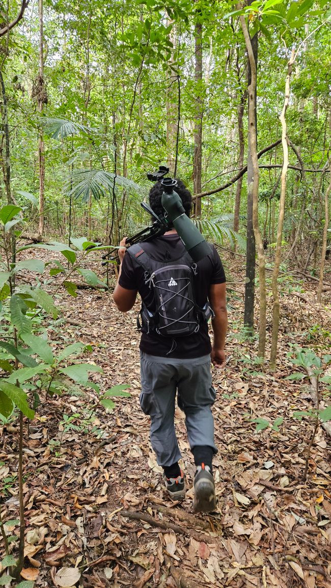 Tangkoko National Park