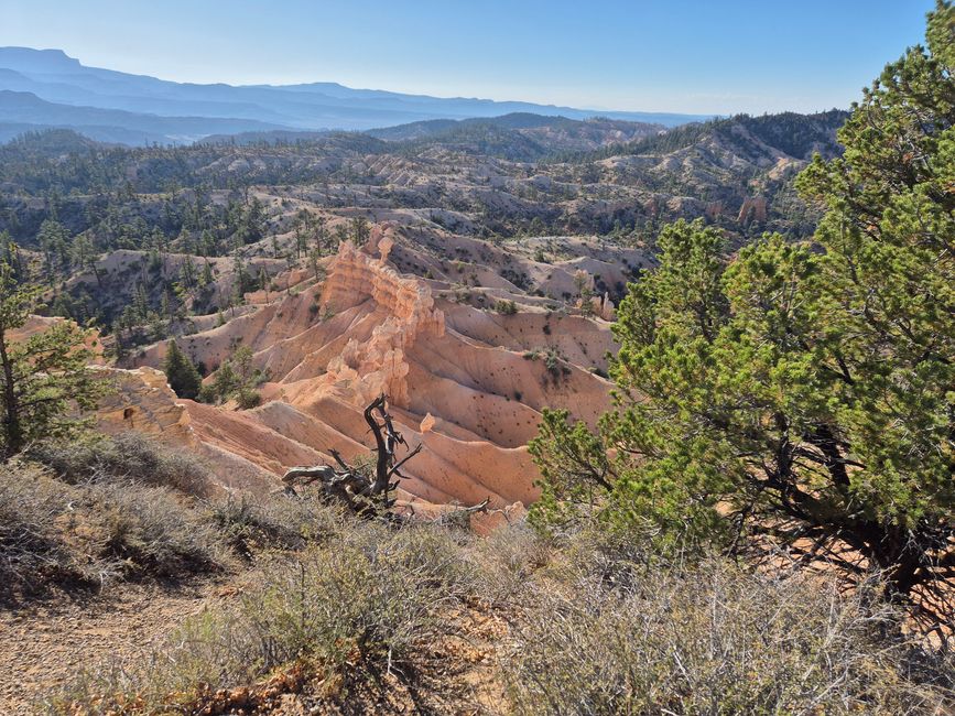 Bryce Canyon