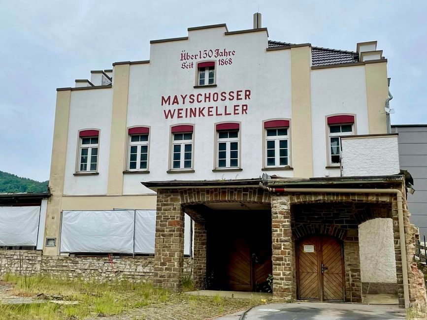 The Mayschoß-Altenahr winegrowers' cooperative is the oldest registered winegrowers' cooperative in the world. It was founded in 1868. In the past, lavish parties were held in the largest wine cellar in Europe - something our Ricci still raves about today. Today, only the basic framework remains.
