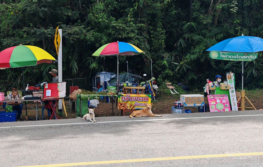 Roadtrip in Nan Province und Nachtmarkt in Nan