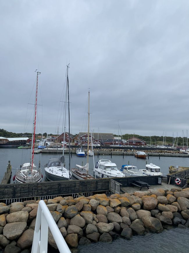 Marina Aalbaek