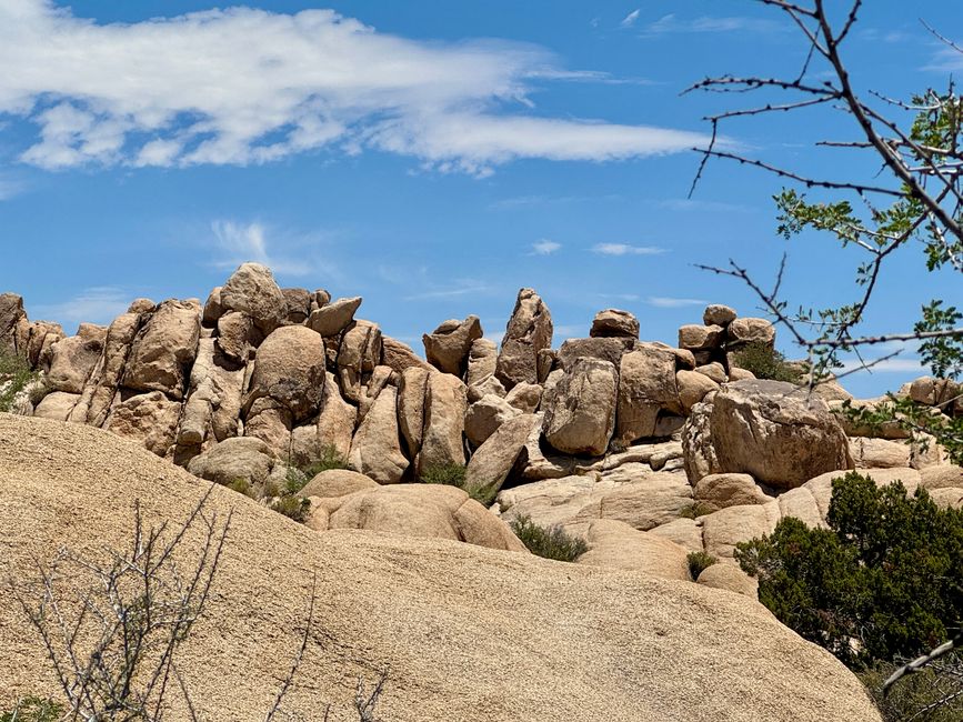 Joshua Tree National Park – Arch Rock & Skull Rock