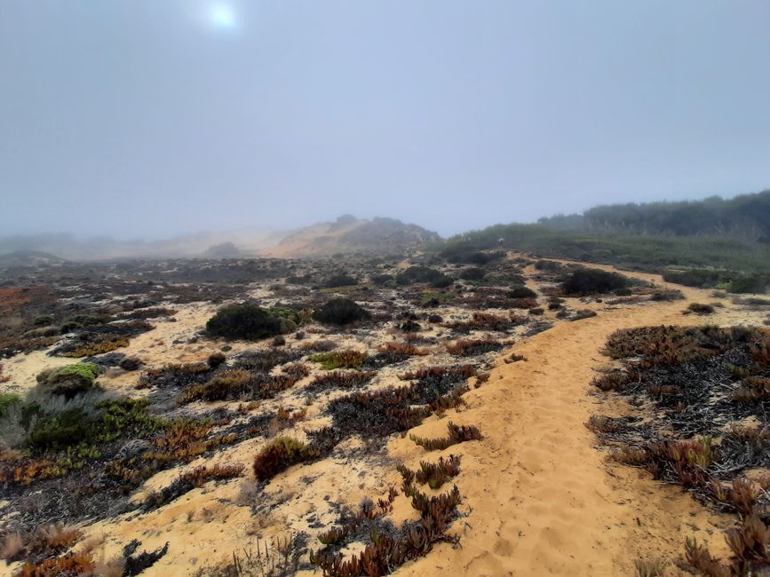 5. Etapa: con ampollas por la niebla