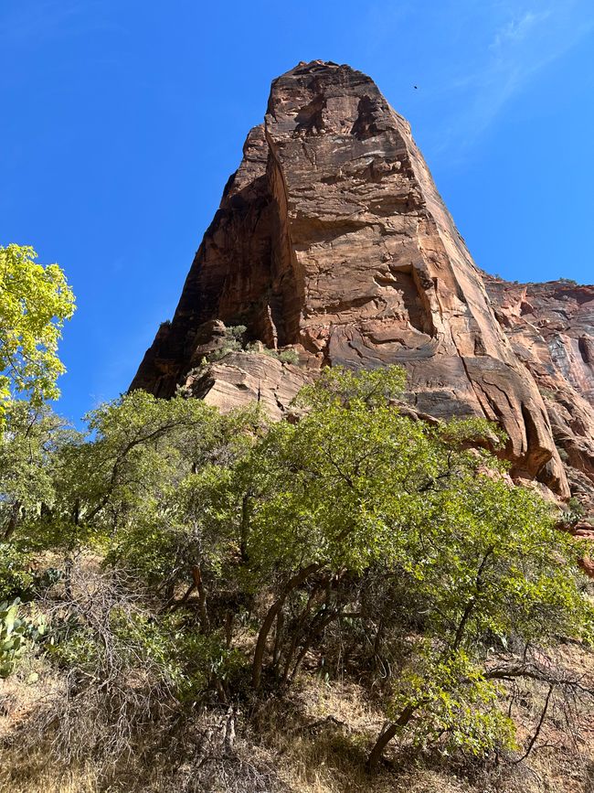 Canyon Land:Zion and  Bryce Canyon❤️