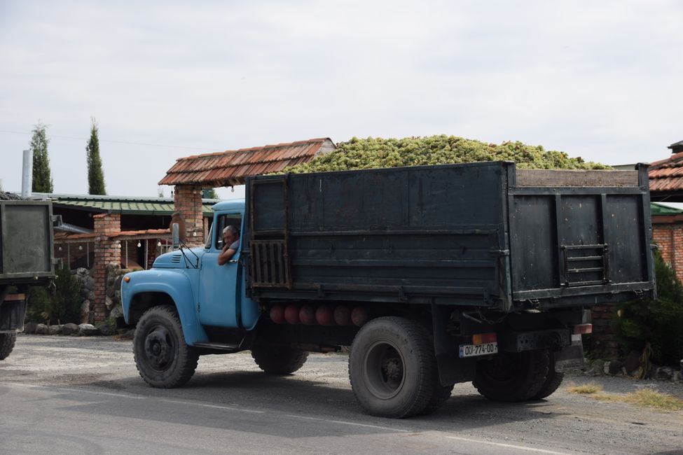 Weinernte