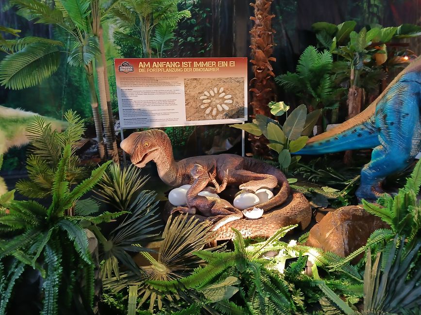 Dino Fever in Friedrichshafen: An Honest Look into the "Kingdom of Dinosaurs"