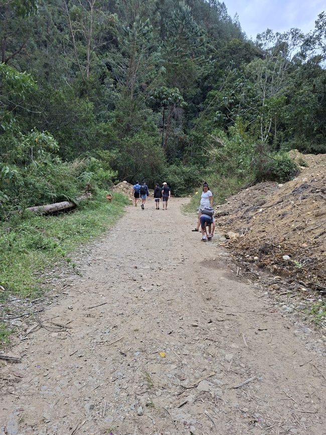 Semaine 26-28 : Au revoir, Colombie