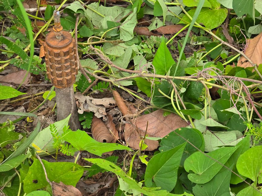 Aki Ra's Cambodia Landmine Museum
