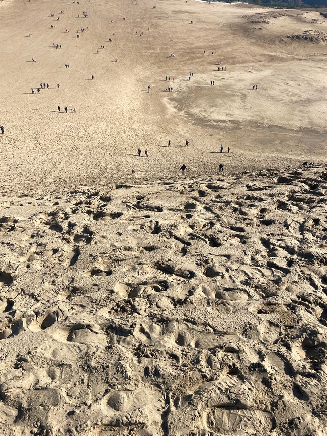 28. Kapitel: Ausflug in die japanische Wüste und ein verhinderter Kamelritt