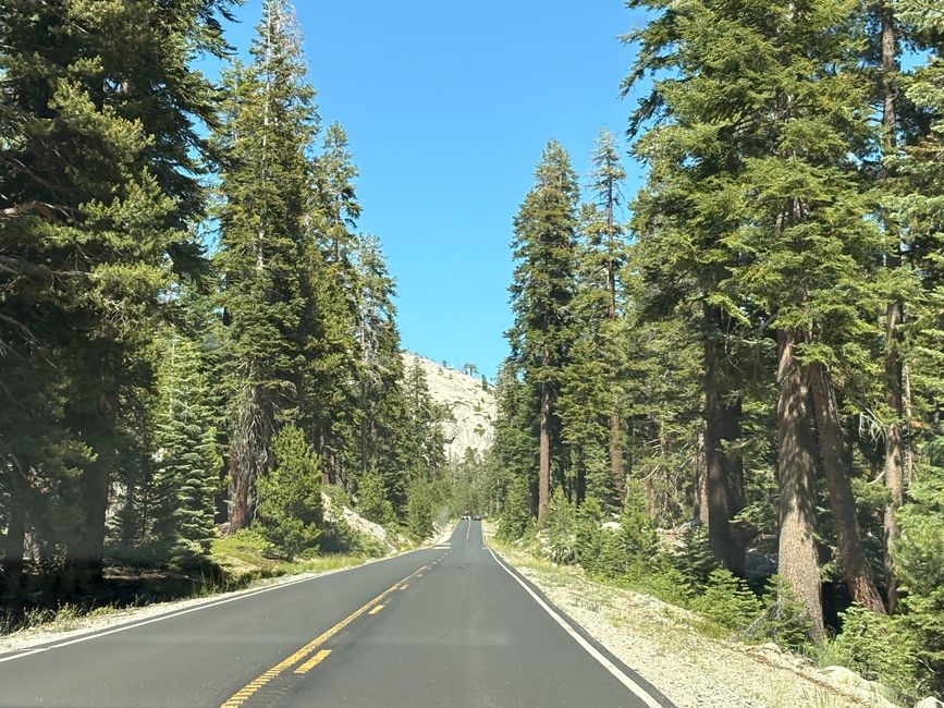 Yosemite National Park