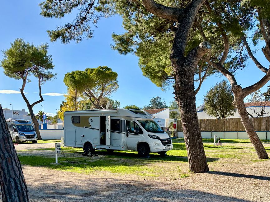 Bisceglie mit Sonne und viel Wind ☀️☀️🌬️