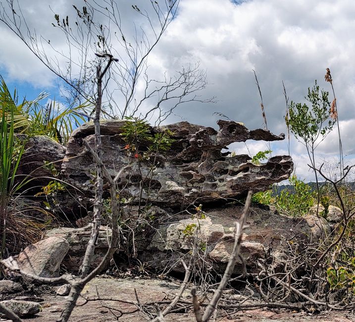 Brazil National Park Diamonds Part I