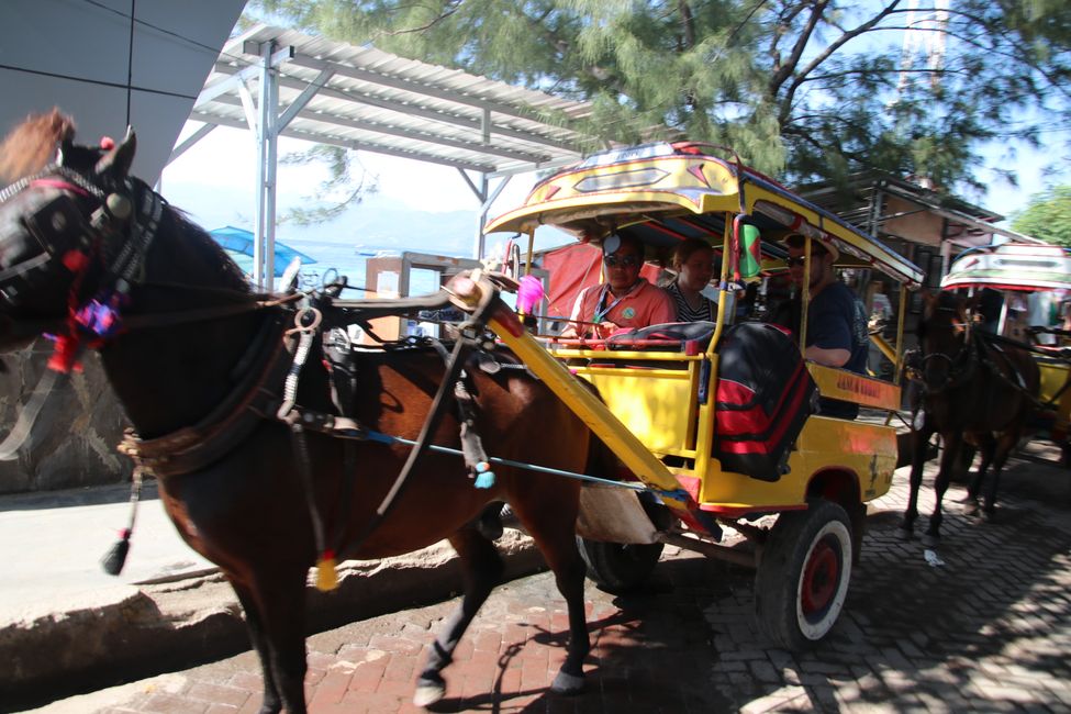 Etiqueta 14: ¡Rumbo a los Gilis!