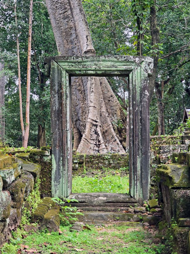 Angkor Wat & Wat Thom