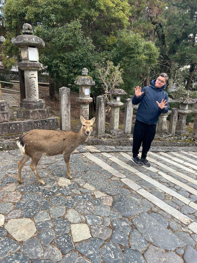 Nara - Tag 10