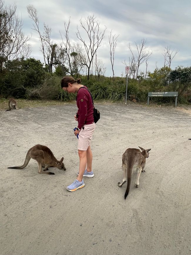 Jervis Bay