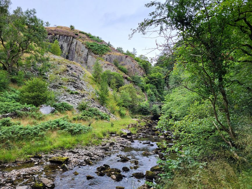 Senda de las Cascadas de Ingleton - Árbol de Dinero