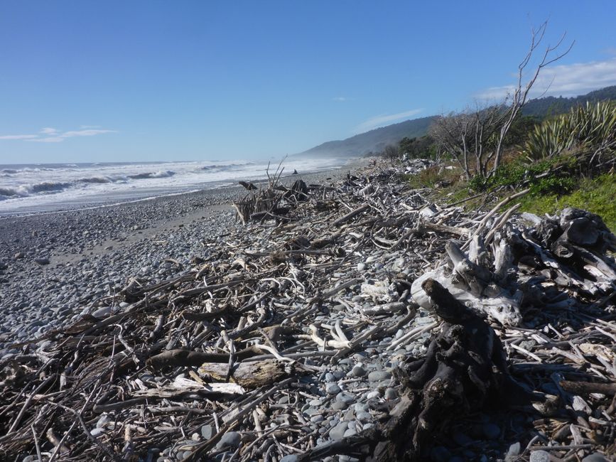 La plage près de Greymouth