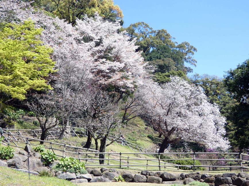Senganen Garden (仙巌園)
