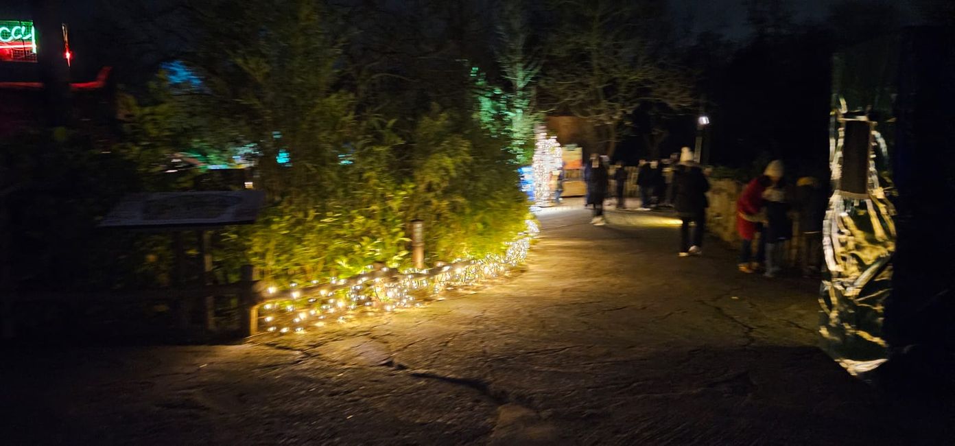 Giardino di Natale allo Zoo di Hannover