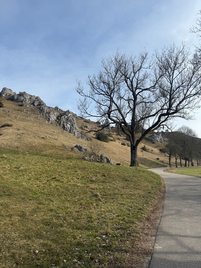 📍Eselsburger Tal, BaWü