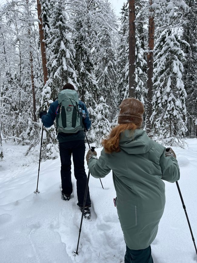 The finnish way