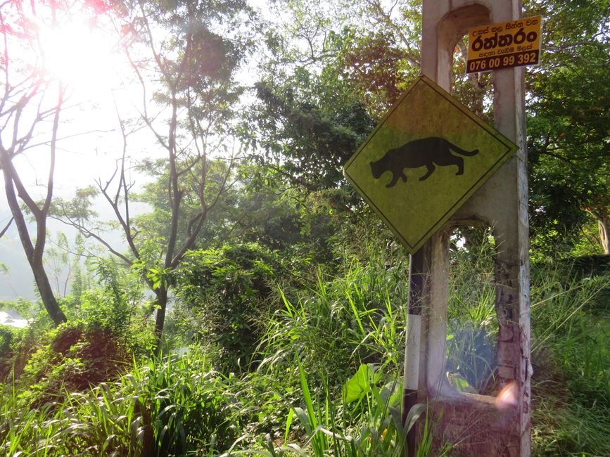 Nuwara Eliya - Dans les Highlands