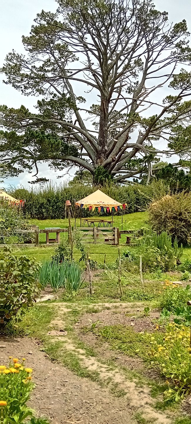 La Comarca Hobbiton