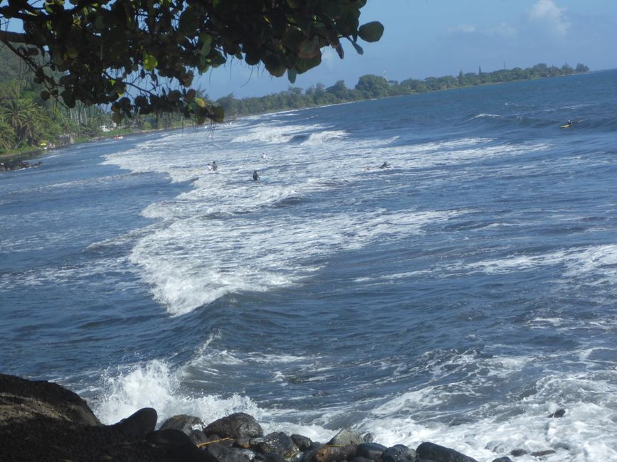 Scopro persone sulle spiagge