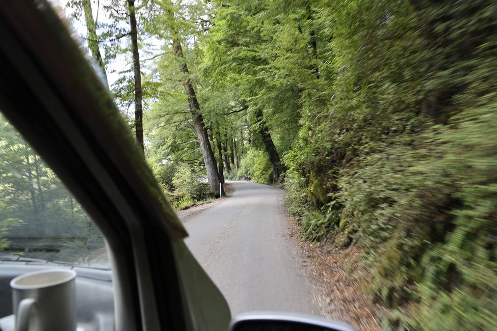 Auf nach Paradise zu "Herr der Ringe"