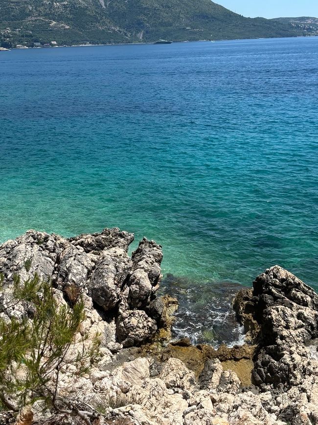 我们又在路上了；从Mlini到Mljet