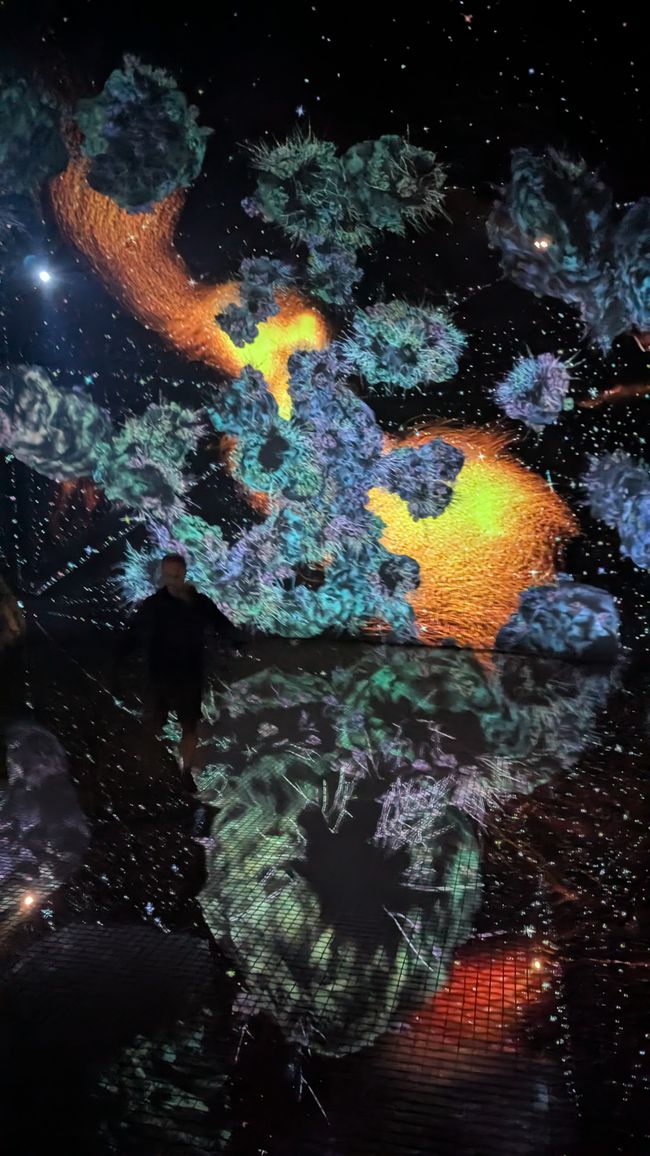 teamLab 现象