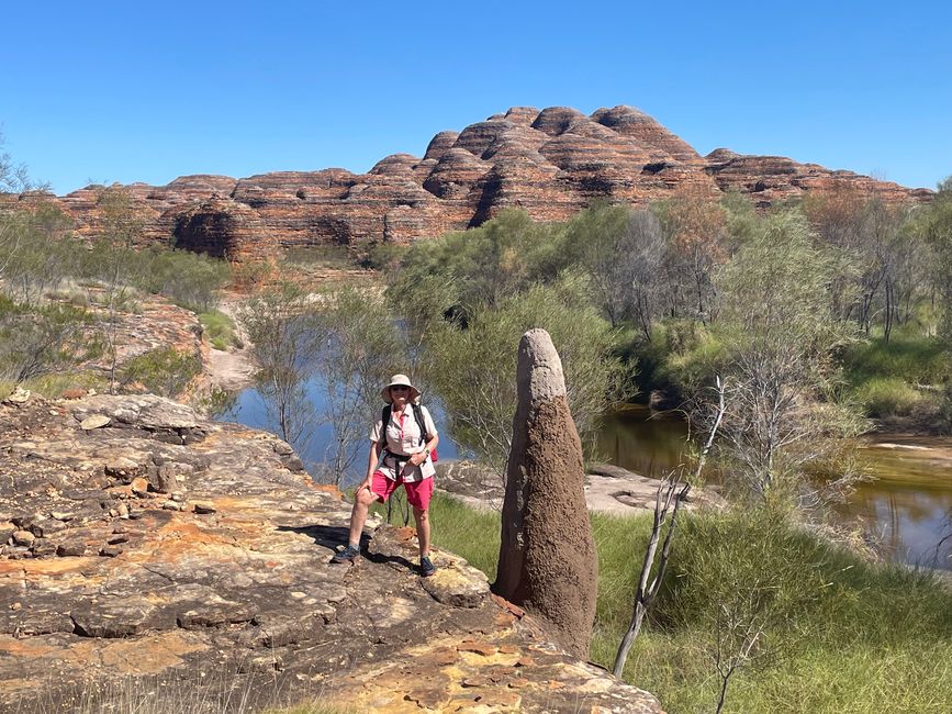 Termite mound