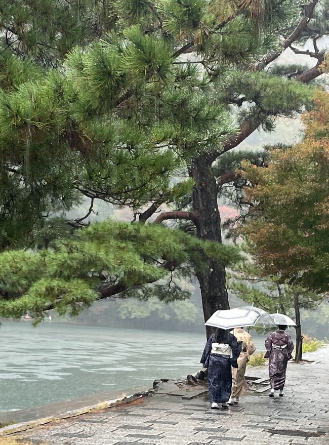 Wie ein Motiv für japanische Kunst