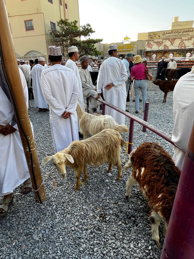 Nizwa