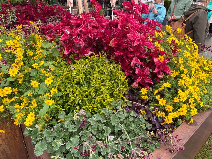 Am Bodensee in Lindau