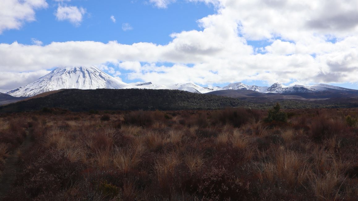 Das gesamte Ausmaß des Tongariro Vulkans