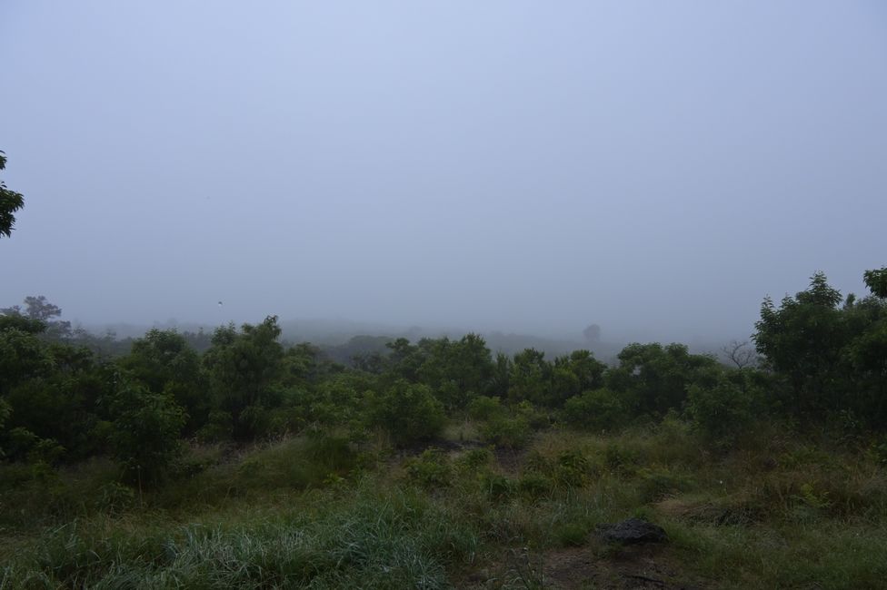Point de vue de Mauna Loa