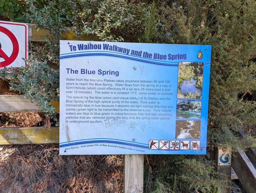Wairere falls & Te Waihou walkway