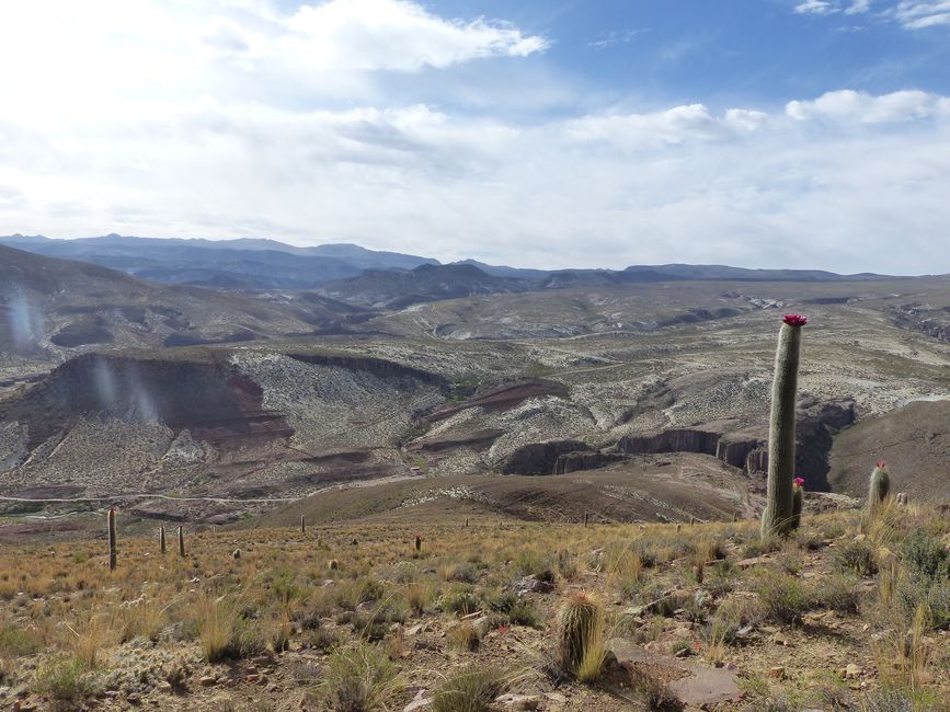 Bolivia, sorgenti termali a Tacoro