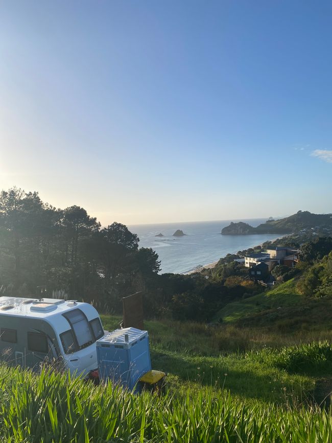 Coromandel loop