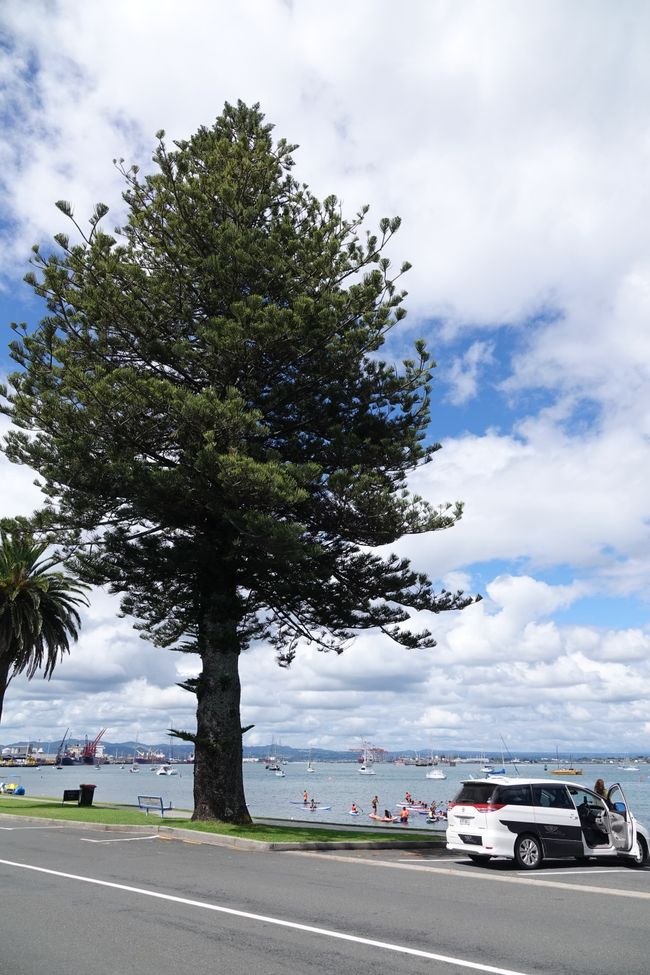 .... e proseguendo verso Rotorua ....