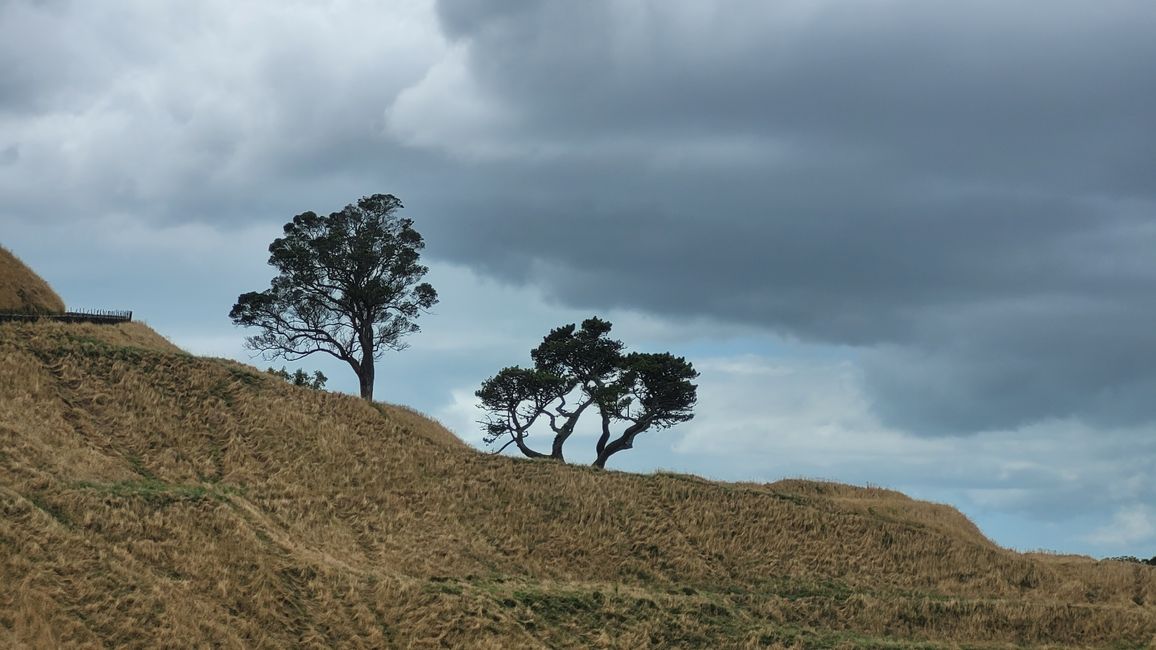 29.Januar-27.Februar 2025 Neuseeland
20.Januar