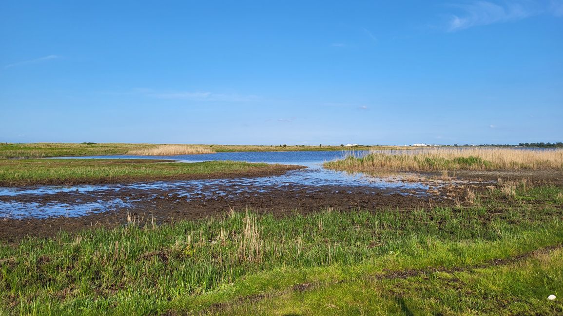 Naturschutzgebiet "Grüner Brink"