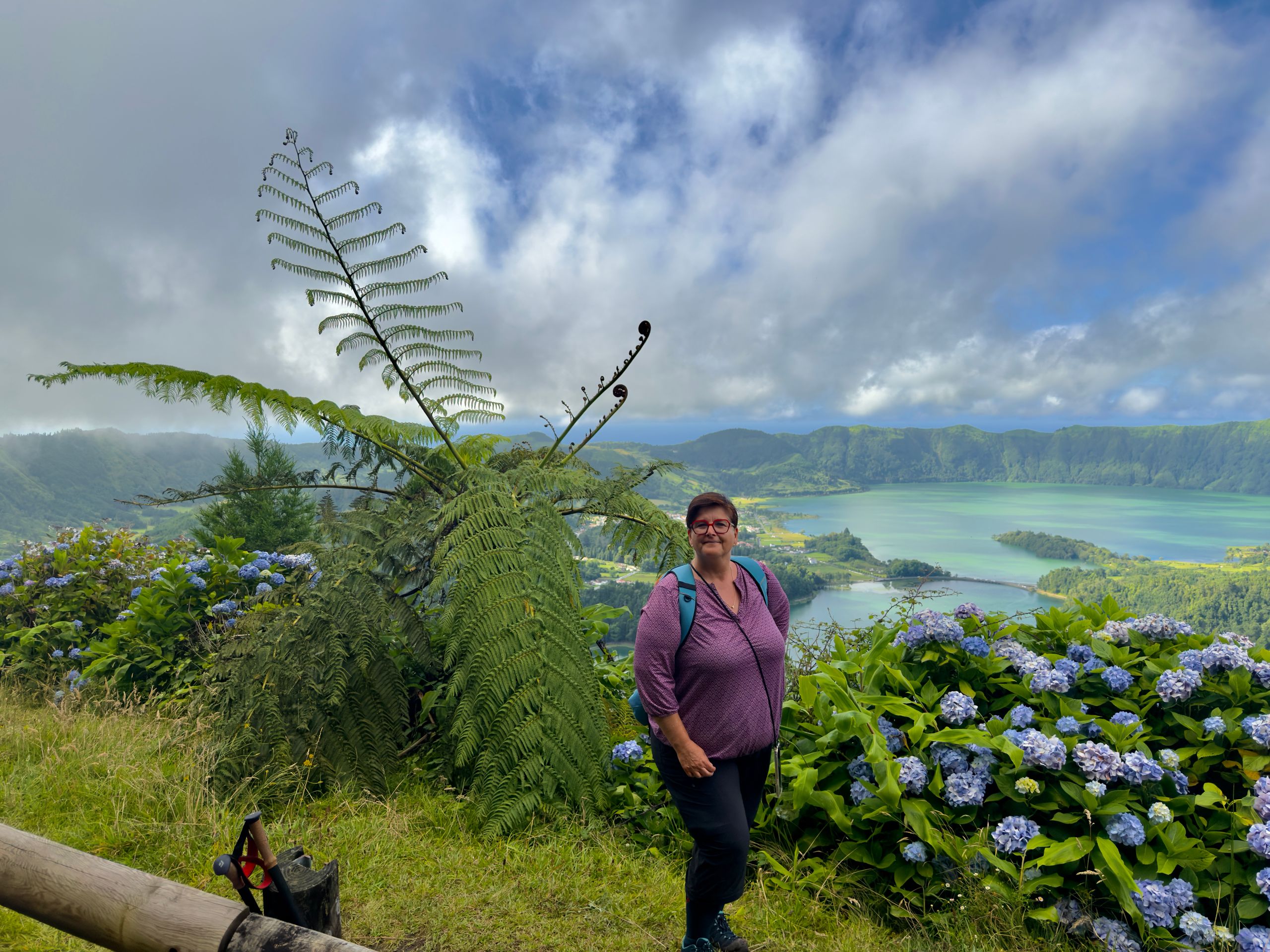Ferns as tall as Schahaatz
