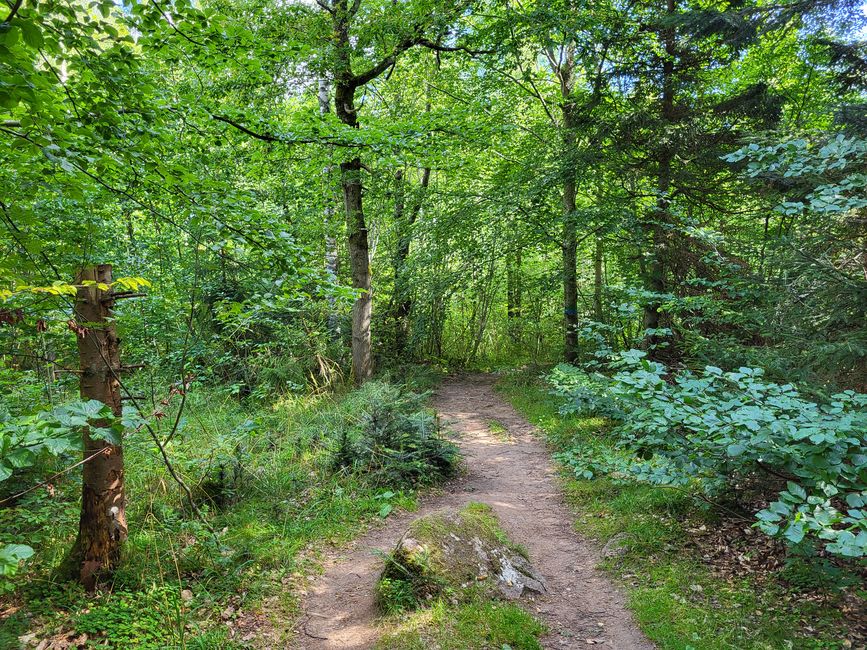 Wanderung Omberg
